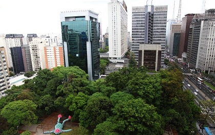 Um macaco gigante no Parque Mário Covas