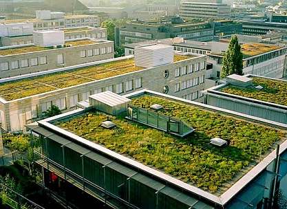 Bancos terão telhados verdes em Sampa